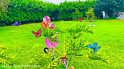 برنامه کودک ناستیا ناستیاشو سر...