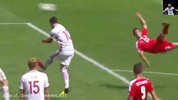 گل قیچی برگردان استثنایی ژردان...