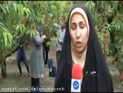 میوه های تابستانی با تاریخ انق...