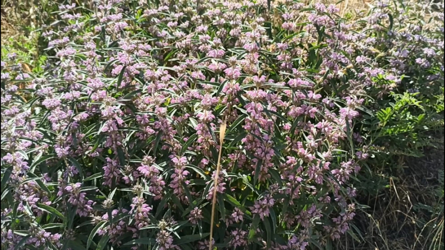 ارامش طبیعت :زیبایی طبیعت:nature:آرامش .طبیعت:زیبا:چشمه