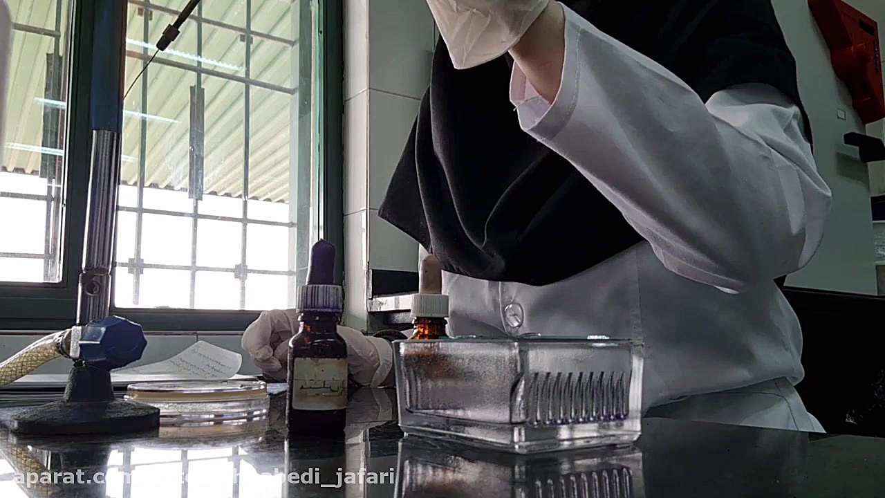 رنگ امیزی ساده دکتر فاطمه عابدی جعفری