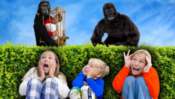 برنامه کودک  کودک جدید  آملیا...