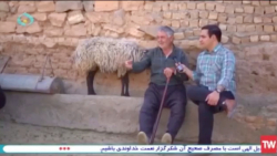 گزارش علیرضا بختیاری از دامداری و منزل علی اصغر زندی در روستای حسین آباد نیزار گزارش علیرضا بختیاری از دامداری و منزل علی اصغر زندی در روستای حسین آباد نیزار