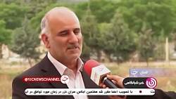 تولید درخت صنوبر سازگار با بیابان در گلستان