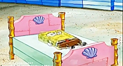 باب اسفنجی جدید