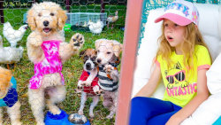 برنامه کودک ناستیا ناستیاشو سر...