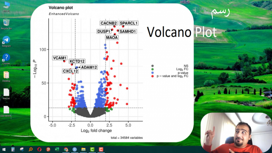 رسم منحنی Volcano برای نتایج آنالیز داده های بیان بخصوص RNA-Seq فیلم ایرانی