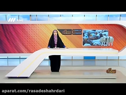 3 تا 4 هزار راس دام برای عرضه در روزهای عرفه و قربان