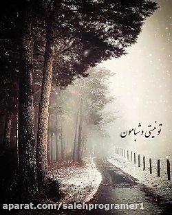 آهنگ دلتنگی عاشقانه / درد دل دلتنگی / تو نیستی شبامو ن ابری ودلتنگه
