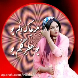 کلیپ نوشته لری / آهنگ لری/ لری عاشقانه / مو عاشق تو بیدم...