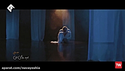 نماهنگ بسیار زیبا امام رضا (ع) - پناه