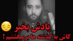 کلیپ غمگین دلتنگی - دلم برات تنگ شده - کلیپ دلتنگی جدید