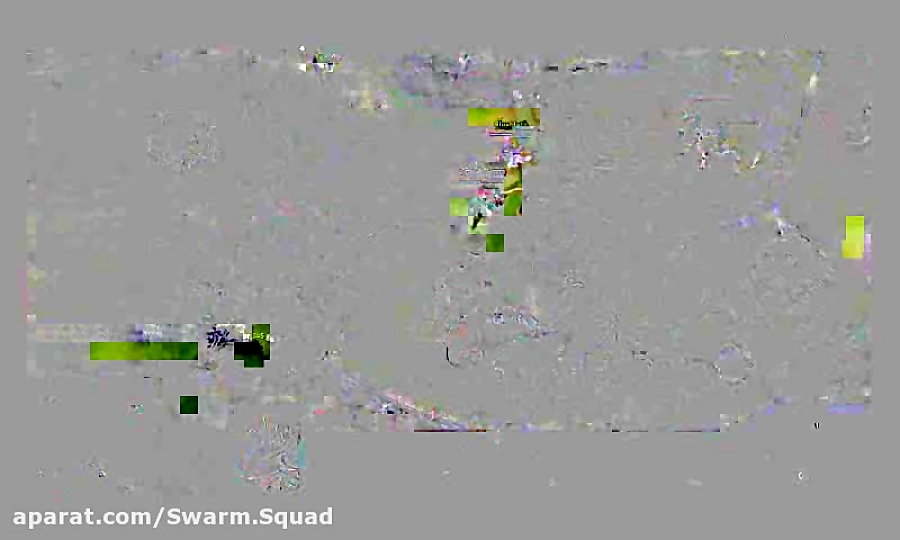 Swarm Squad team match