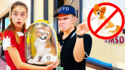 برنامه کودک ناستیا و میا سرگرم...