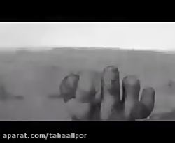 ویدعو جدید سعید والکو