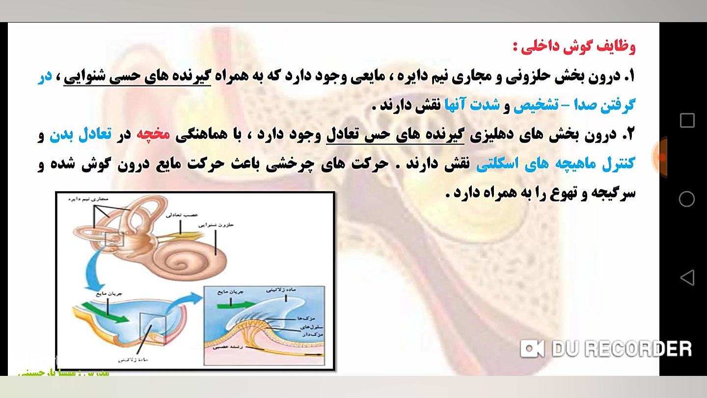 گوش داخلی انسان لیفت صورت