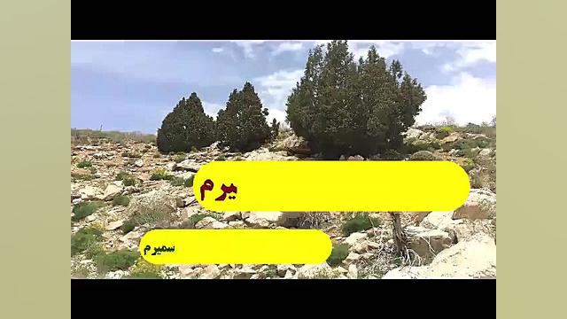مارهای شاخص سمیرم حلزون توربو