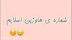 شماره ی هاوژین اسلایم