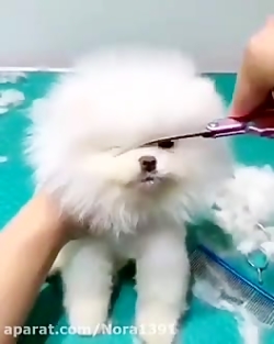 خدایا خیلی جذاب هسته من خیلی ا...