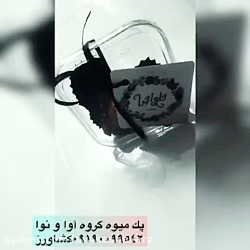 پک ختم /0919009954