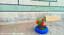 گزارش حال گل هاي روستاي شايق استان اردبيل ١٨ تيرماه ١٤٠١