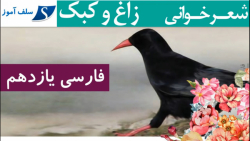 شعرخوانی و جواب درک و دریافت فارسی یازدهم درس زاغ و کبک