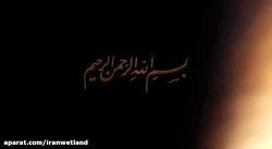 گزارش روز؛ یازدهم تیر ماه 1401