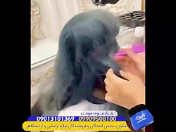 رنگ و مدل های جذاب مو زنانه