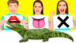 چالش خوردن یا لمس کردن  تفریح...