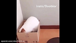 پارت دوم 2 صدا گذاری