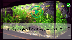 ایده ساخت اکواریوم