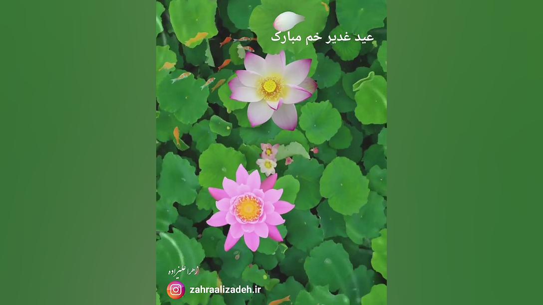 کلیپ زیبای عید غدیر- عید غدير خم 1401 زهرا علیزاده