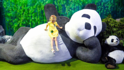 استیسی شو استیسی و بابایی ناست...