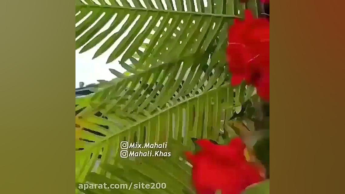 عید تان مبارک باد تبریک میگم اکستنشن تاج دندان