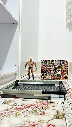 کشتی کج باتیستا و ناکامورا