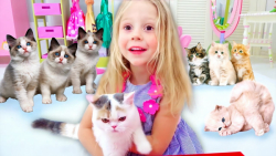 برنامه کودک نستیاشو ناستیاشو ک...