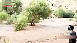 تعداد فوتی ها به ۲۱ نفر رسید