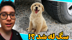 له کردن وسایل کیوت زیر چرخ ماش...