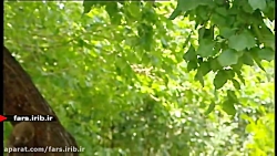 ترانه دلنشین &quot; ایران &quo...