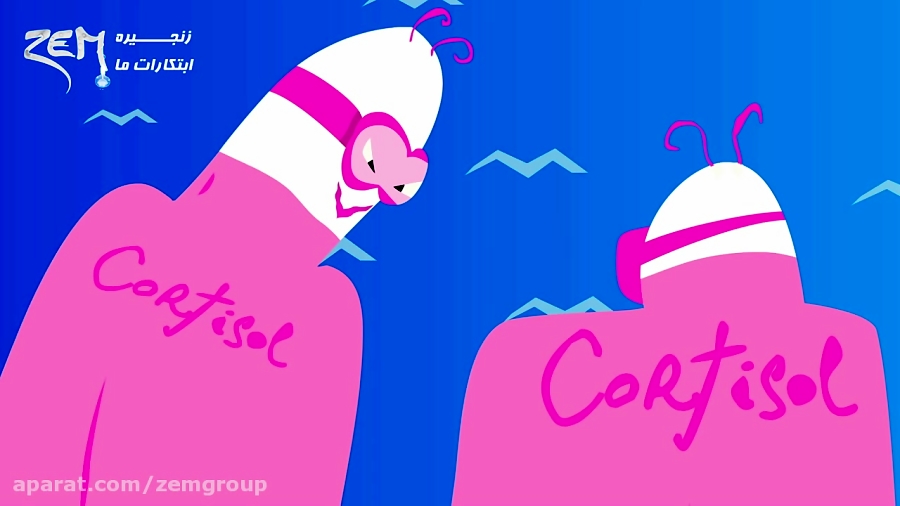 ZEM Group - استرس چه تاثیری بر روی بدن می گذارد؟