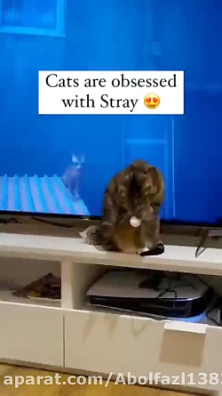 جزئیات و ریزه کاری های بازی Stray