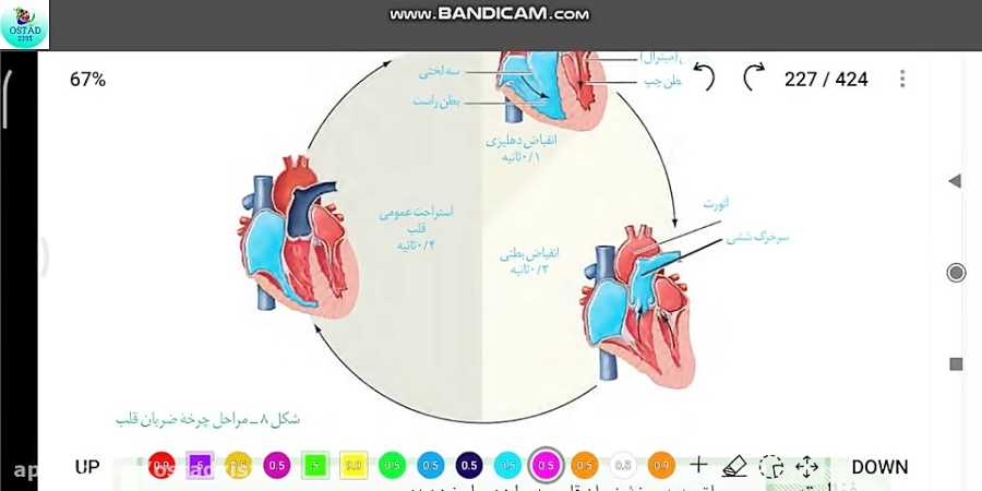 پارت چهارم شکل های فصل 4 زیست دهم