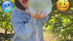 اسمر فود نورث فود اسمر فود با...