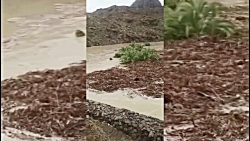 طغیان رودخانه سرباز