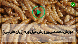 نحوه خشک کردن میل ورم