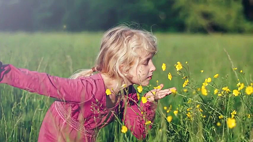 حس بویایی ما چطور کار می‌کند؟ علوم پنجم امیر جدیدی