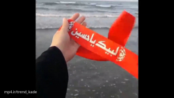 کلیپ محرمی جدید برای وضعیت واتساپ / جدید ، لبیک یا حسین
