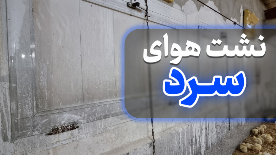 نشت هوای سرد از پنجره های تابستانی در فصل سرما دکتر محمد مهدی عبدالهی (دامپزشک)
