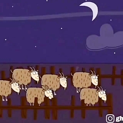 طنز گوسفند با میلاد