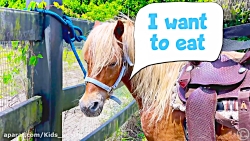 استیسی شو استیسی و بابایی ناست...